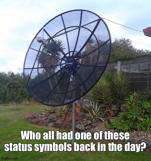 Who all had one of these status symbols back in the day? | image tagged in 1980s | made w/ Imgflip meme maker