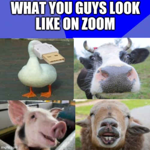 Its Just A Fact | image tagged in zoom | made w/ Imgflip meme maker
