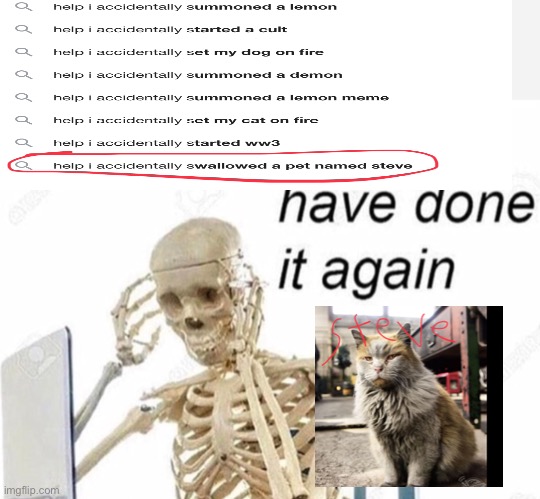 NOOOOOOOOOO NOT STEVE | image tagged in cat,oh no | made w/ Imgflip meme maker