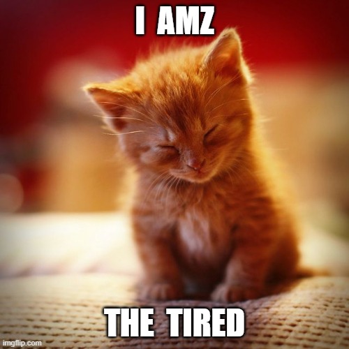 I Amz the tired | I  AMZ; THE  TIRED | image tagged in kitty cat,kitten,sleepy cat | made w/ Imgflip meme maker