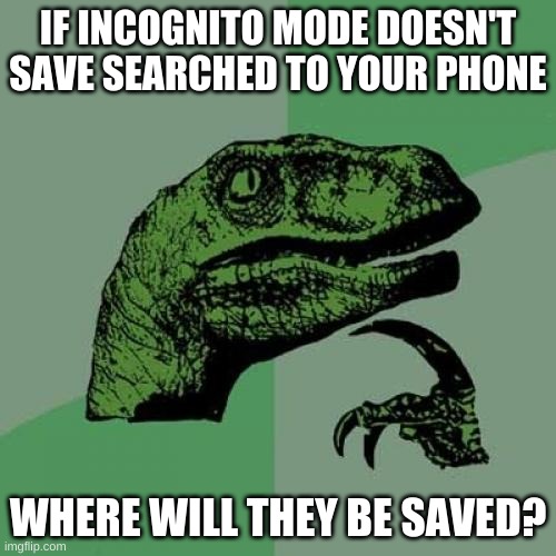 srsly | IF INCOGNITO MODE DOESN'T SAVE SEARCHED TO YOUR PHONE; WHERE WILL THEY BE SAVED? | image tagged in memes,philosoraptor,funny,fun | made w/ Imgflip meme maker