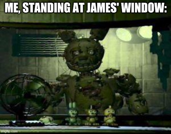 FNAF Springtrap in window | ME, STANDING AT JAMES' WINDOW: | image tagged in fnaf springtrap in window | made w/ Imgflip meme maker