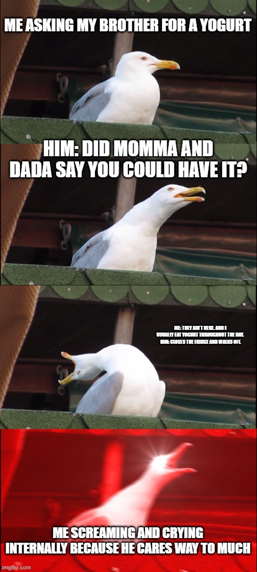 Inhaling Seagull Meme | ME ASKING MY BROTHER FOR A YOGURT; HIM: DID MOMMA AND DADA SAY YOU COULD HAVE IT? ME: THEY AIN'T HERE. AND I USUALLY EAT YOGURT THROUGHOUT THE DAY.
 HIM: CLOSES THE FRIDGE AND WALKS OFF. ME SCREAMING AND CRYING INTERNALLY BECAUSE HE CARES WAY TO MUCH | image tagged in memes,inhaling seagull | made w/ Imgflip meme maker