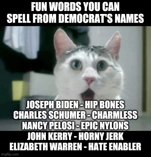 Its true! Anagrams can see the future! | FUN WORDS YOU CAN SPELL FROM DEMOCRAT'S NAMES; JOSEPH BIDEN - HIP BONES
CHARLES SCHUMER - CHARMLESS
NANCY PELOSI - EPIC NYLONS
JOHN KERRY - HORNY JERK
ELIZABETH WARREN - HATE ENABLER | image tagged in memes,omg cat,anagram,democrats | made w/ Imgflip meme maker