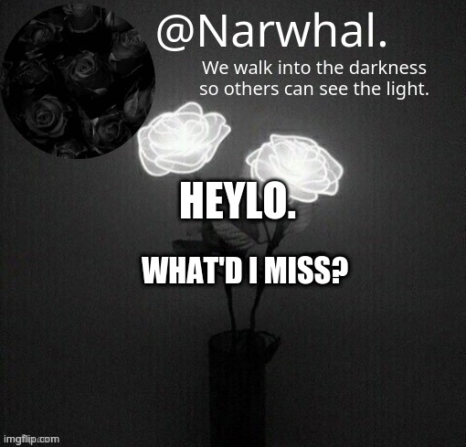 anythin interesting happen or naw | HEYLO. WHAT'D I MISS? | image tagged in narwhal announcement temp | made w/ Imgflip meme maker