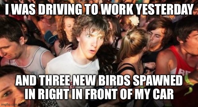 Sudden Clarity Clarence Meme | I WAS DRIVING TO WORK YESTERDAY; AND THREE NEW BIRDS SPAWNED IN RIGHT IN FRONT OF MY CAR | image tagged in memes,sudden clarity clarence | made w/ Imgflip meme maker