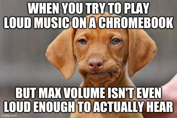 Dissapointed puppy | WHEN YOU TRY TO PLAY LOUD MUSIC ON A CHROMEBOOK; BUT MAX VOLUME ISN'T EVEN LOUD ENOUGH TO ACTUALLY HEAR | image tagged in dissapointed puppy | made w/ Imgflip meme maker