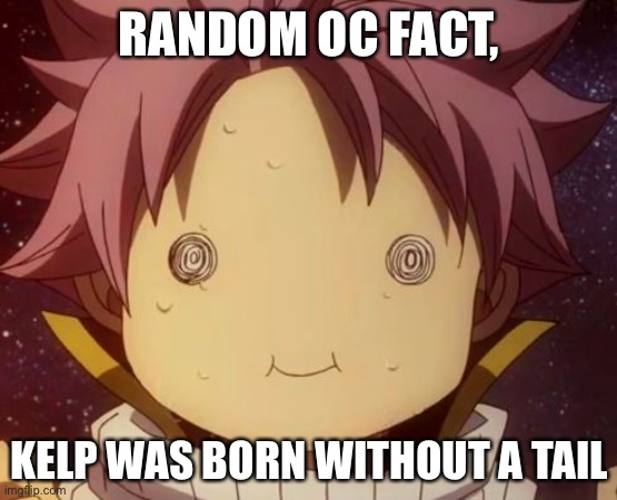 Fairy tail Natsu derp | RANDOM OC FACT, KELP WAS BORN WITHOUT A TAIL | image tagged in fairy tail natsu derp | made w/ Imgflip meme maker