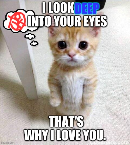 Cute Cat | DEEP; I LOOK         INTO YOUR EYES; THAT'S WHY I LOVE YOU. | image tagged in memes,cute cat | made w/ Imgflip meme maker