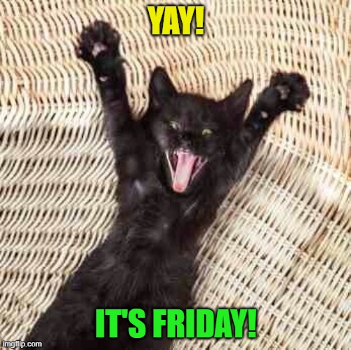 YAY! IT'S FRIDAY! | image tagged in cats,friday,yay it's friday | made w/ Imgflip meme maker