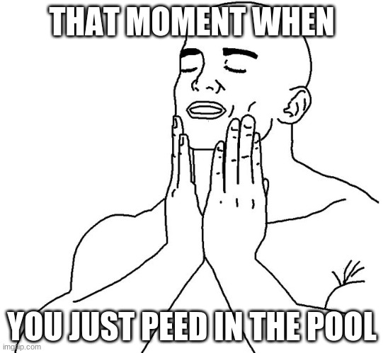 Satisfaction | THAT MOMENT WHEN; YOU JUST PEED IN THE POOL | image tagged in satisfaction | made w/ Imgflip meme maker