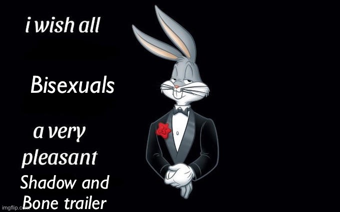 I’m gay and I’m having a field day so I can only imagine how it must be for people who like multiple genders | Bisexuals; Shadow and Bone trailer | image tagged in i wish all the x a very pleasant evening | made w/ Imgflip meme maker