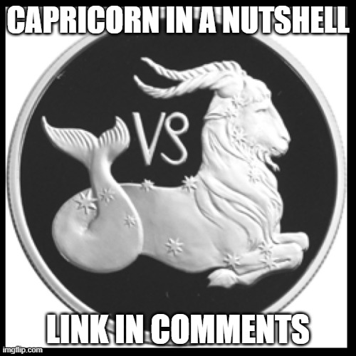 Capricorn | CAPRICORN IN A NUTSHELL; LINK IN COMMENTS | image tagged in capricorn,astrology | made w/ Imgflip meme maker