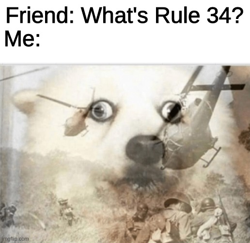 The art gets worse the further you scroll down | Friend: What's Rule 34?
Me: | image tagged in ptsd dog | made w/ Imgflip meme maker