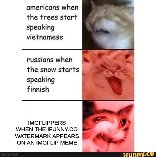 americans when | IMGFLIPPERS WHEN THE IFUNNY.CO WATERMARK APPEARS ON AN IMGFLIP MEME | image tagged in americans when | made w/ Imgflip meme maker