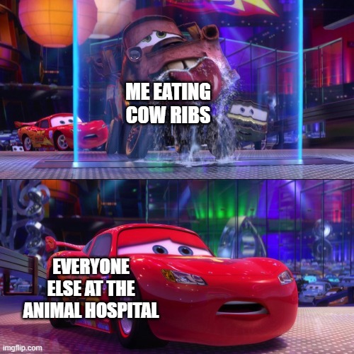 Cars 2 Mater Licking Waterfall | ME EATING COW RIBS; EVERYONE ELSE AT THE ANIMAL HOSPITAL | image tagged in cars 2 mater licking waterfall | made w/ Imgflip meme maker