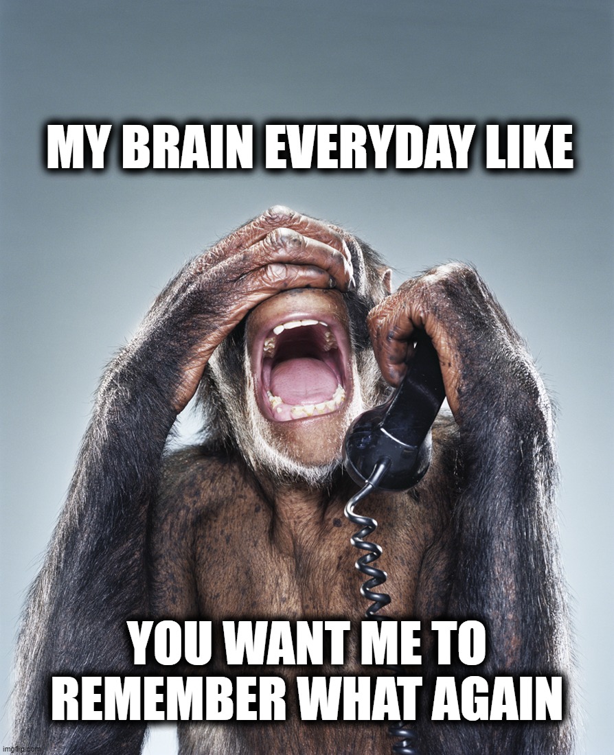 Monkey on Phone | MY BRAIN EVERYDAY LIKE; YOU WANT ME TO REMEMBER WHAT AGAIN | image tagged in monkey on phone | made w/ Imgflip meme maker