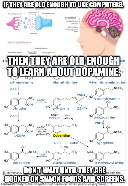 Teach them about dopamine |  IF THEY ARE OLD ENOUGH TO USE COMPUTERS, THEN THEY ARE OLD ENOUGH TO LEARN ABOUT DOPAMINE. DON'T WAIT UNTIL THEY ARE HOOKED ON SNACK FOODS AND SCREENS. | image tagged in funny,computers | made w/ Imgflip meme maker
