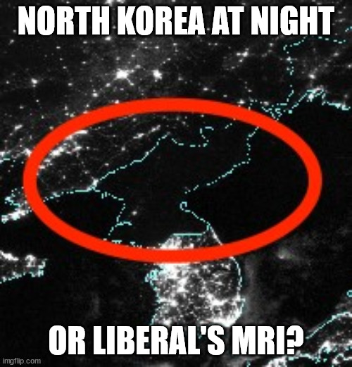 Not Sure If.. | NORTH KOREA AT NIGHT; OR LIBERAL'S MRI? | image tagged in north korea at night,liberal logic | made w/ Imgflip meme maker