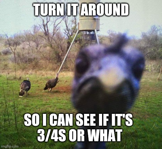 Jiveass Turkey | TURN IT AROUND SO I CAN SEE IF IT'S  
3/4S OR WHAT | image tagged in jiveass turkey | made w/ Imgflip meme maker