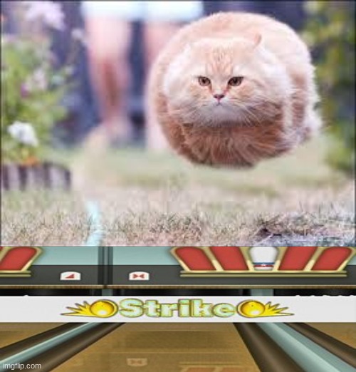strike | image tagged in flying cat ball | made w/ Imgflip meme maker