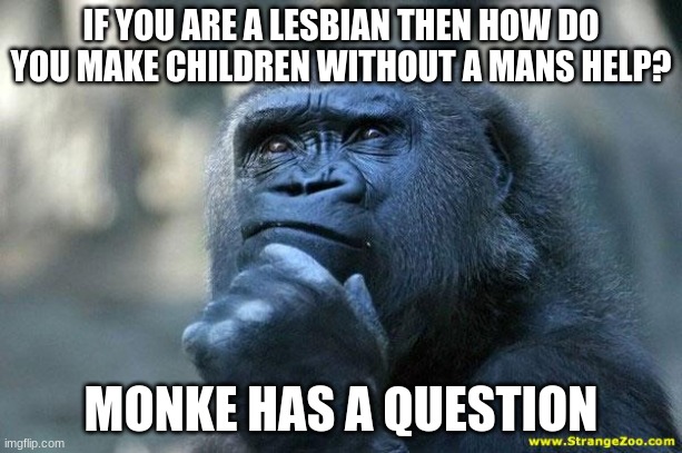 how? | IF YOU ARE A LESBIAN THEN HOW DO YOU MAKE CHILDREN WITHOUT A MANS HELP? MONKE HAS A QUESTION | image tagged in monke,monkey,question,lgbtq,how | made w/ Imgflip meme maker
