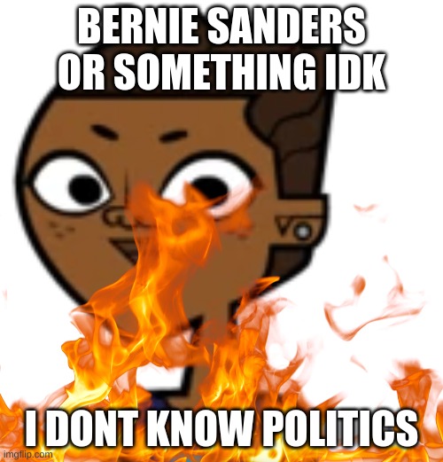 BERNIE SANDERS OR SOMETHING IDK; I DONT KNOW POLITICS | image tagged in bernie sanders | made w/ Imgflip meme maker