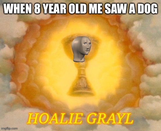 I had doggy radar | WHEN 8 YEAR OLD ME SAW A DOG | image tagged in meme man hoalie grayl,dogs,8 year old me | made w/ Imgflip meme maker