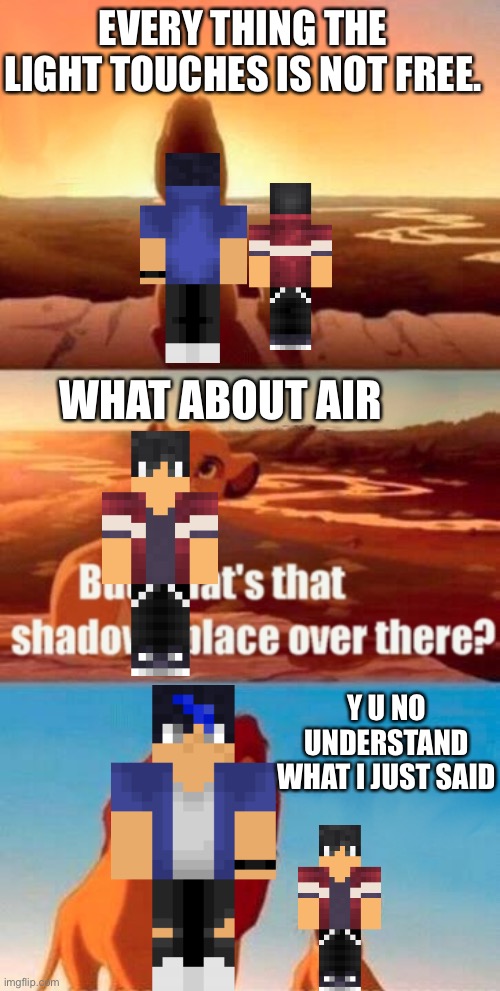 Simba Shadowy Place Meme | EVERY THING THE LIGHT TOUCHES IS NOT FREE. WHAT ABOUT AIR; Y U NO UNDERSTAND WHAT I JUST SAID | image tagged in memes,simba shadowy place | made w/ Imgflip meme maker