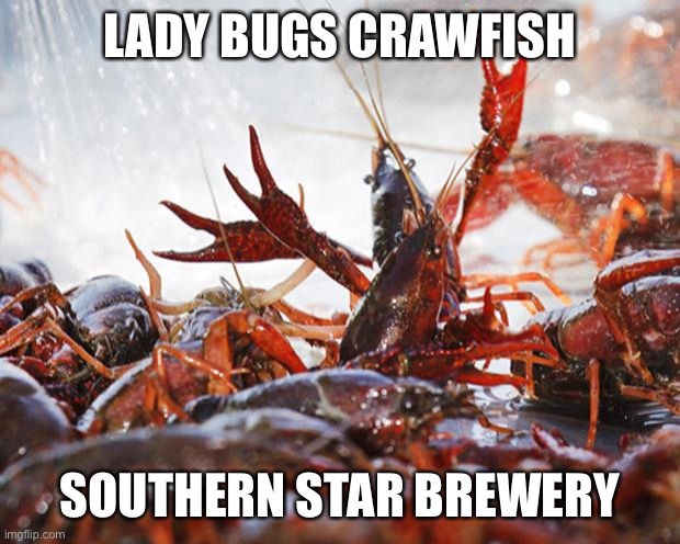 Crawfish | LADY BUGS CRAWFISH; SOUTHERN STAR BREWERY | image tagged in crawfish | made w/ Imgflip meme maker