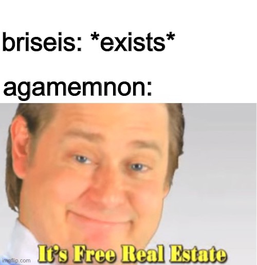 It's Free Real Estate | briseis: *exists*; agamemnon: | image tagged in it's free real estate,the iliad,greek mythology,mythology | made w/ Imgflip meme maker