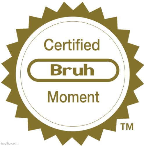 Certified bruh moment | image tagged in certified bruh moment | made w/ Imgflip meme maker