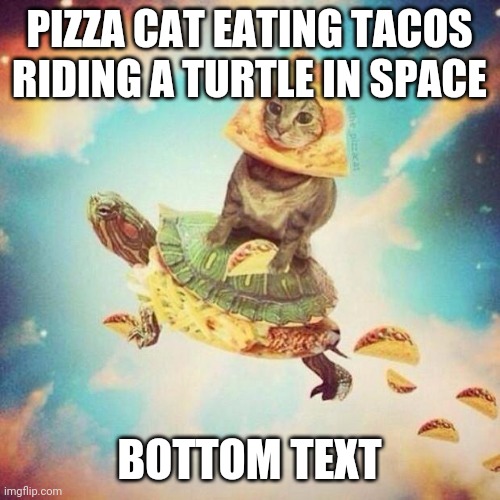 Space Pizza Cat Turtle Tacos | PIZZA CAT EATING TACOS RIDING A TURTLE IN SPACE; BOTTOM TEXT | image tagged in space pizza cat turtle tacos | made w/ Imgflip meme maker