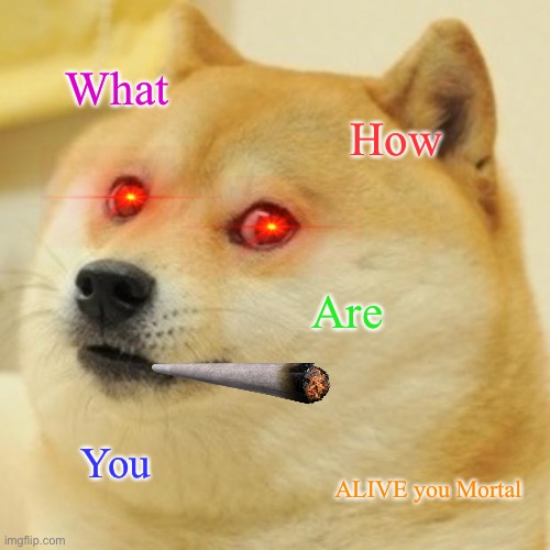 Doge | What; How; Are; You; ALIVE you Mortal | image tagged in memes,doge | made w/ Imgflip meme maker