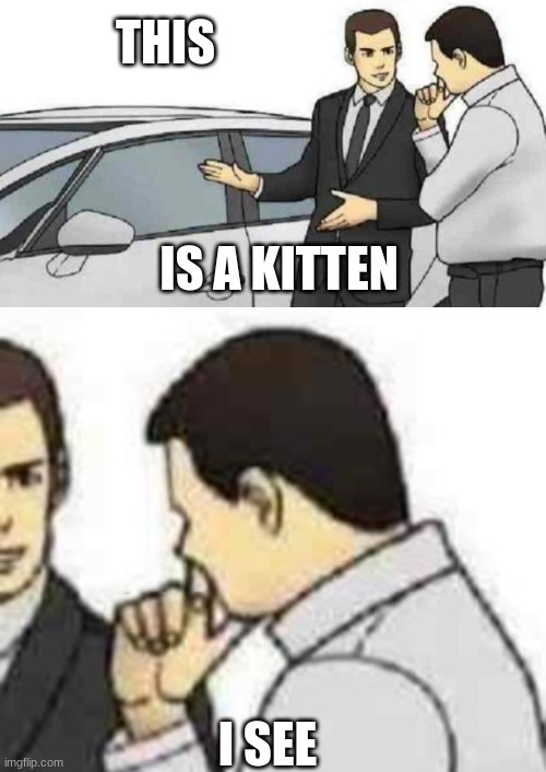 :p | THIS; IS A KITTEN; I SEE | image tagged in memes,car salesman slaps roof of car | made w/ Imgflip meme maker