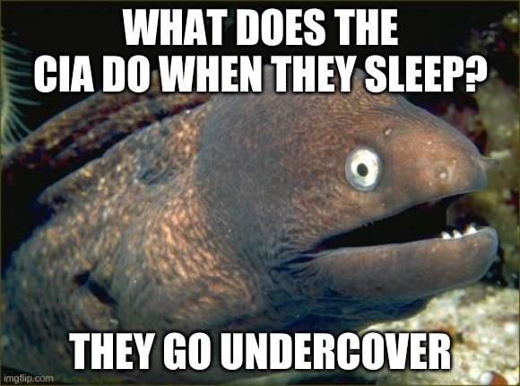 Bad Joke Eel | WHAT DOES THE CIA DO WHEN THEY SLEEP? THEY GO UNDERCOVER | image tagged in memes,bad joke eel | made w/ Imgflip meme maker