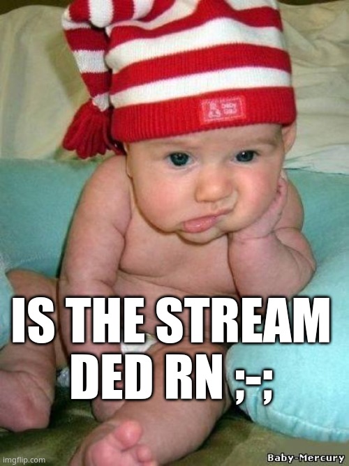 ; - ; | IS THE STREAM DED RN ;-; | image tagged in bored baby | made w/ Imgflip meme maker