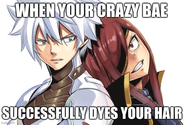 Dyed hair - Edens Zero Meme | WHEN YOUR CRAZY BAE; SUCCESSFULLY DYES YOUR HAIR | image tagged in edens zero,edens zero memes,elsie crimson,justice edens zero,memes,hair coloring | made w/ Imgflip meme maker