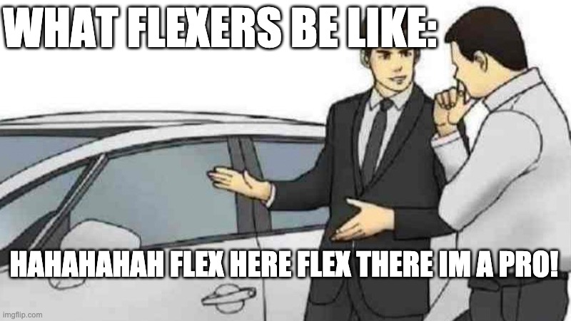 Car Salesman Slaps Roof Of Car | WHAT FLEXERS BE LIKE:; HAHAHAHAH FLEX HERE FLEX THERE IM A PRO! | image tagged in memes,car salesman slaps roof of car | made w/ Imgflip meme maker