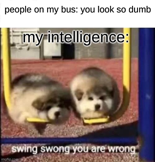 SWING SWONG YOU ARE WRONG! | people on my bus: you look so dumb; my intelligence: | image tagged in swing swong you are wrong | made w/ Imgflip meme maker