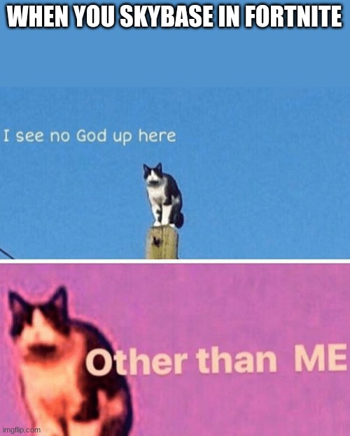Hail pole cat | WHEN YOU SKYBASE IN FORTNITE | image tagged in hail pole cat | made w/ Imgflip meme maker
