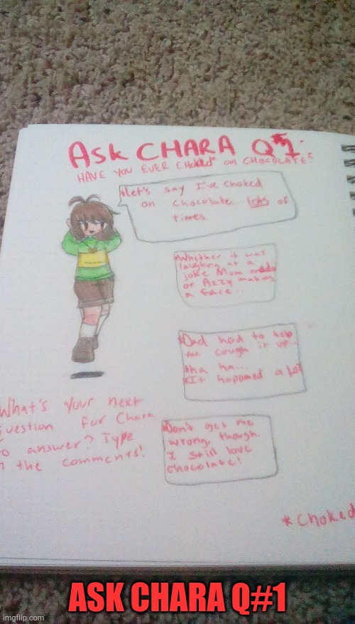 Ask Chara Q#1 | ASK CHARA Q#1 | image tagged in undertale,undertale chara | made w/ Imgflip meme maker