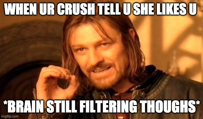One Does Not Simply | WHEN UR CRUSH TELL U SHE LIKES U; *BRAIN STILL FILTERING THOUGHS* | image tagged in memes,one does not simply | made w/ Imgflip meme maker