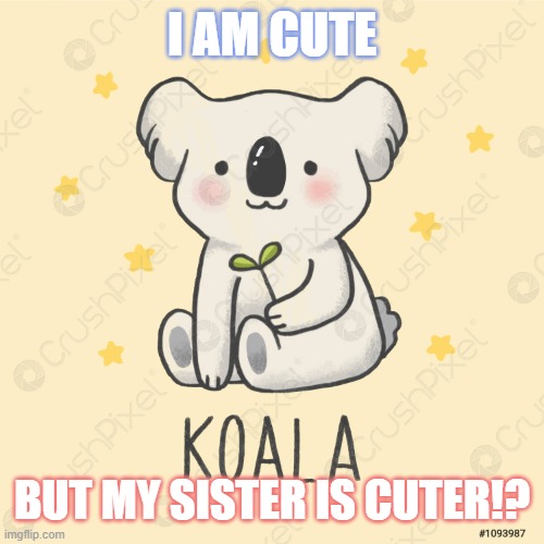 Cute Koala | I AM CUTE; BUT MY SISTER IS CUTER!? | image tagged in koala | made w/ Imgflip meme maker