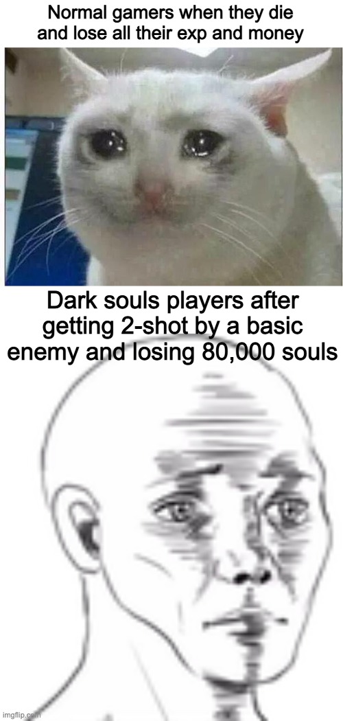 You think dark souls is easy? Nope, It's hard as (AAAAAAAAAAAAAAA) | Normal gamers when they die and lose all their exp and money; Dark souls players after getting 2-shot by a basic enemy and losing 80,000 souls | image tagged in crying cat,broken wojak | made w/ Imgflip meme maker