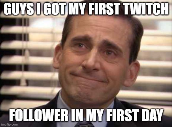 i really respect that guy | GUYS I GOT MY FIRST TWITCH; FOLLOWER IN MY FIRST DAY | image tagged in wholesome | made w/ Imgflip meme maker