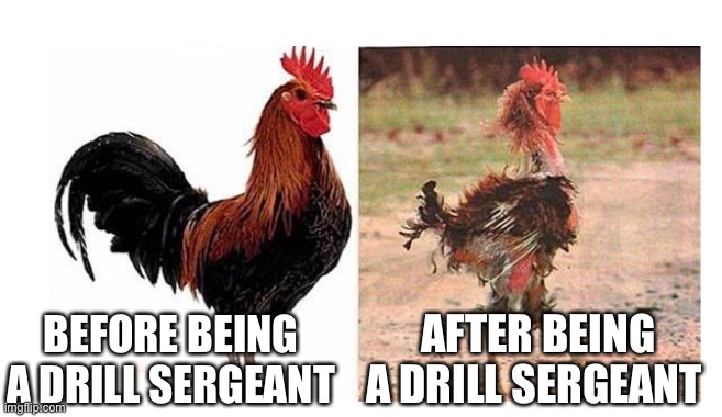 before and after marriage | AFTER BEING A DRILL SERGEANT; BEFORE BEING A DRILL SERGEANT | image tagged in before and after marriage | made w/ Imgflip meme maker
