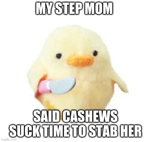Duck with knife | MY STEP MOM; SAID CASHEWS SUCK TIME TO STAB HER | image tagged in duck with knife | made w/ Imgflip meme maker