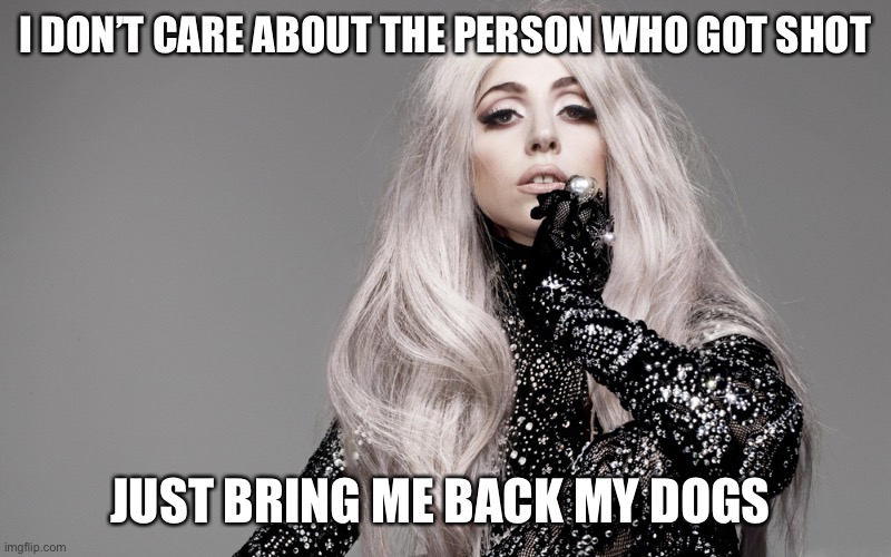 Lady Gaga | I DON’T CARE ABOUT THE PERSON WHO GOT SHOT; JUST BRING ME BACK MY DOGS | image tagged in lady gaga | made w/ Imgflip meme maker