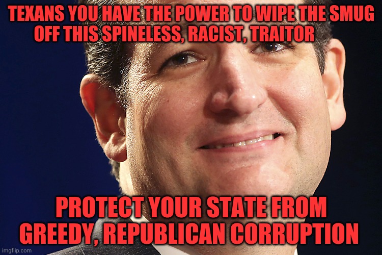 Ted Cruz | TEXANS YOU HAVE THE POWER TO WIPE THE SMUG OFF THIS SPINELESS, RACIST, TRAITOR; PROTECT YOUR STATE FROM GREEDY, REPUBLICAN CORRUPTION | image tagged in ted cruz | made w/ Imgflip meme maker